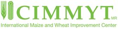 CIMMYT