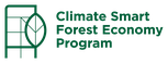 CS logoColor