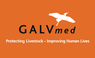 GALVmed logo block RGB
