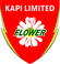 KAPI LOGO